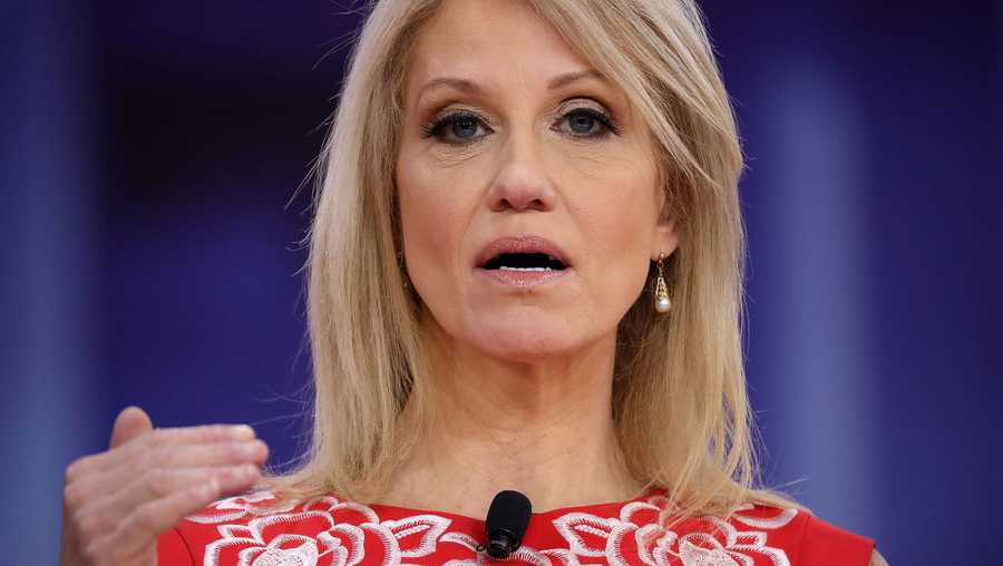 Woman Who Attacked Kellyanne Conway Will Not Face Charges