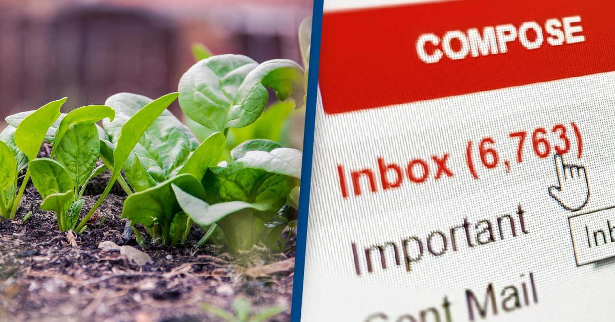 Scientists Have Taught Plants How to Send Emails!