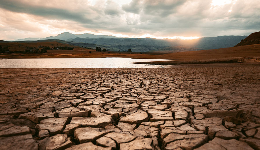 California Farmers Prepare for Impending Drought