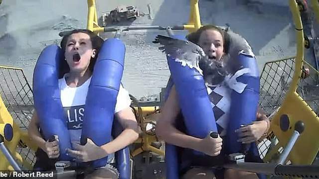 Shocking Video! Teen Smacked in Face by Bird While on Amusement Park Ride